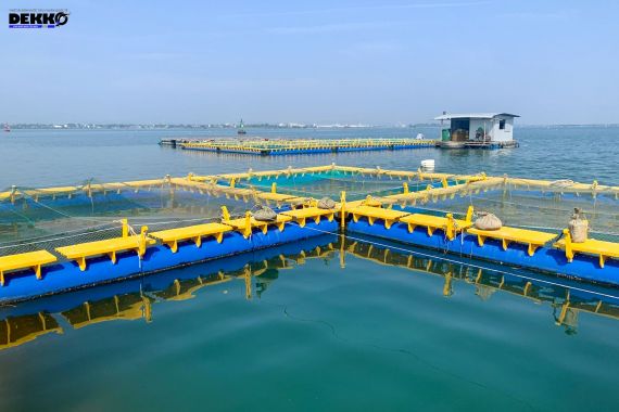Lồng bè nhựa HDPE - Nâng cao hiệu quả nuôi trồng thủy hải sản