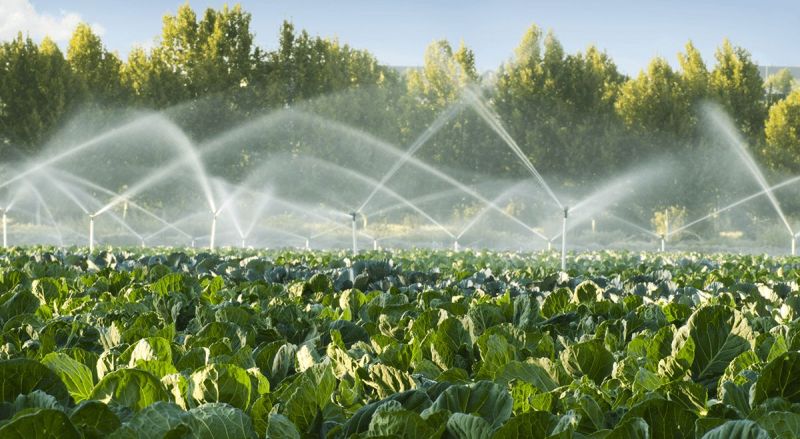 Chi phí lắp đặt hệ thống tưới phun mưa - Bảng giá vật tư chi tiết