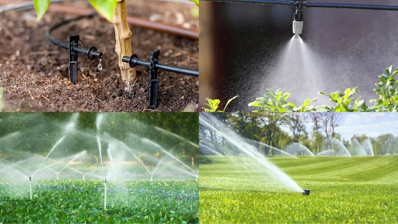 Ống tưới nông nghiệp DEKKO - Giải pháp hiệu quả cho cây trồng