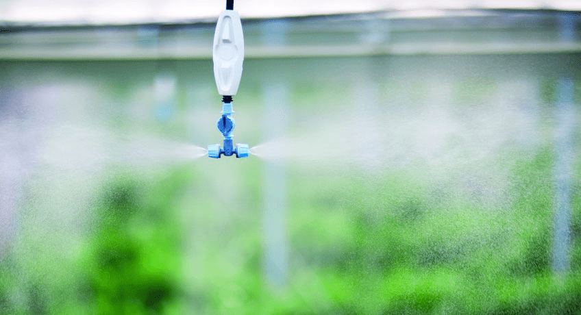 Hệ thống phun sương tưới cây là gì? Cấu tạo và ứng dụng