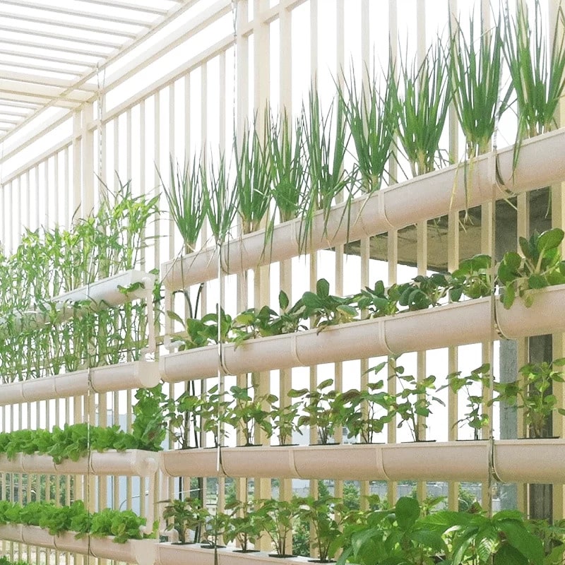 Tổng hợp 18 cách làm giàn trồng rau thủy canh bằng ống nhựa mới nhất   lagroupeduvn