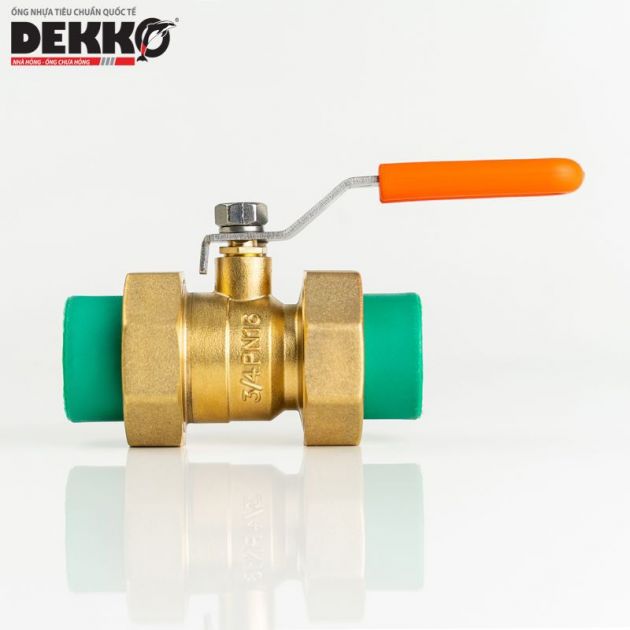 Van bi đồng 2 đầu racco PPR