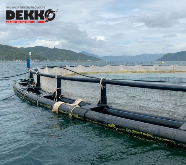 LỒNG TRÒN HDPE ỐNG KÉP 2485