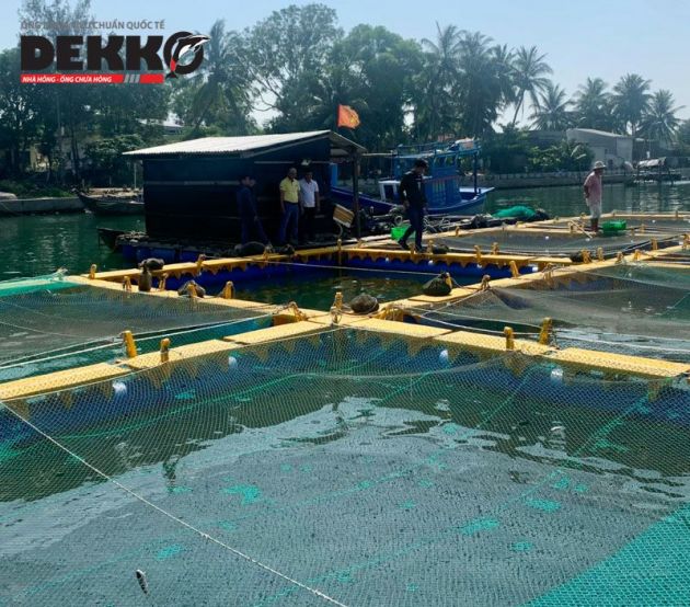 Lồng Vuông Ống Đơn 2482