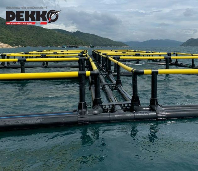 Lồng Vuông Ống Kép 2494