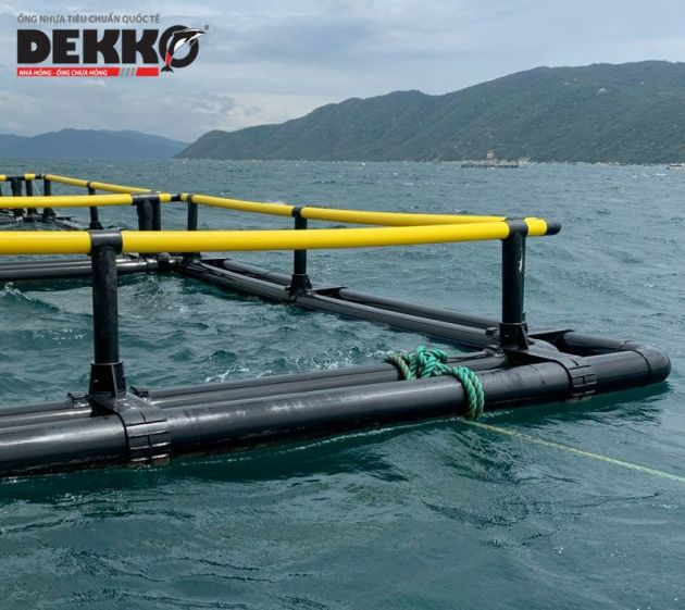 Lồng Vuông Ống Kép 2493