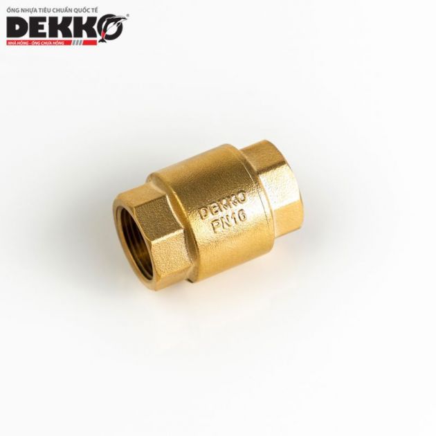 VAN 1 CHIỀU ĐỒNG LÒ XO NÊM ĐỒNG - DEKKO PN16 2241