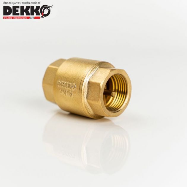 VAN 1 CHIỀU ĐỒNG LÒ XO NÊM ĐỒNG - DEKKO PN16 2238