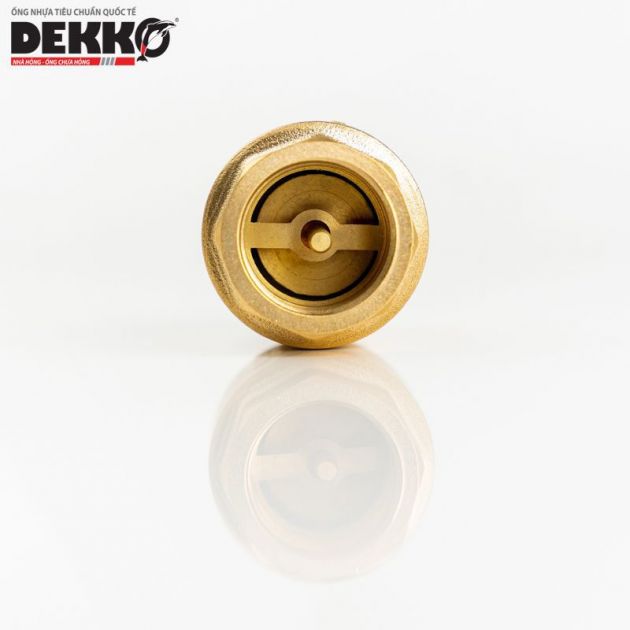VAN 1 CHIỀU ĐỒNG LÒ XO NÊM ĐỒNG - DEKKO PN16 2239